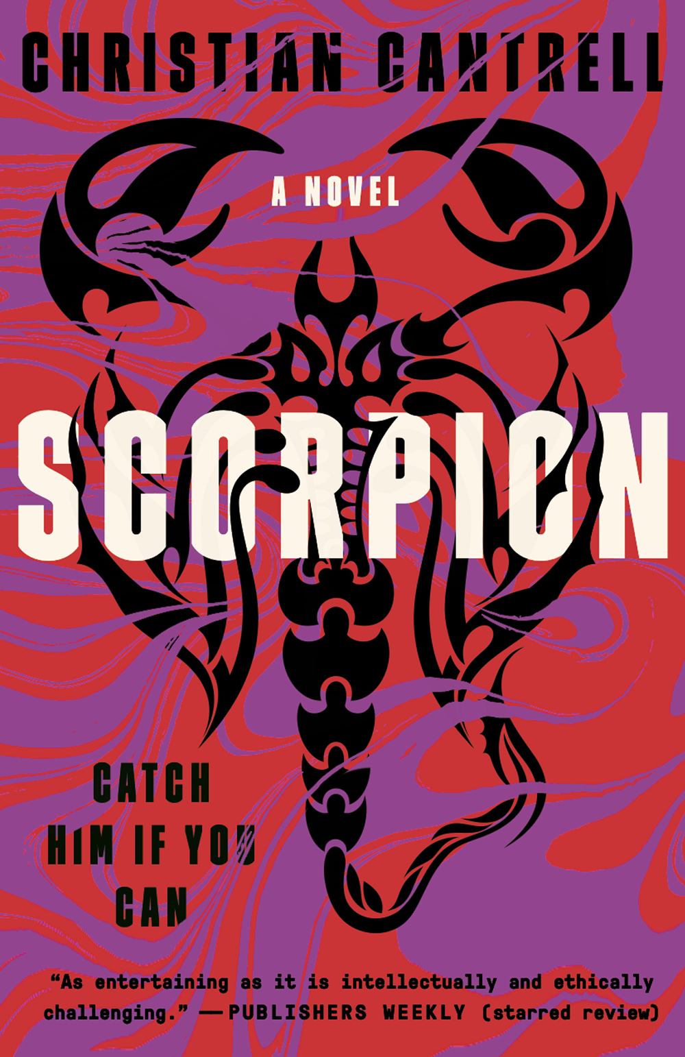 Scorpion book cover